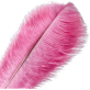Pink Ostrich Feather | Flower Arrangements 25-30 CM Pink Ostrich Feather | Flower Arrangements 25-30 CM